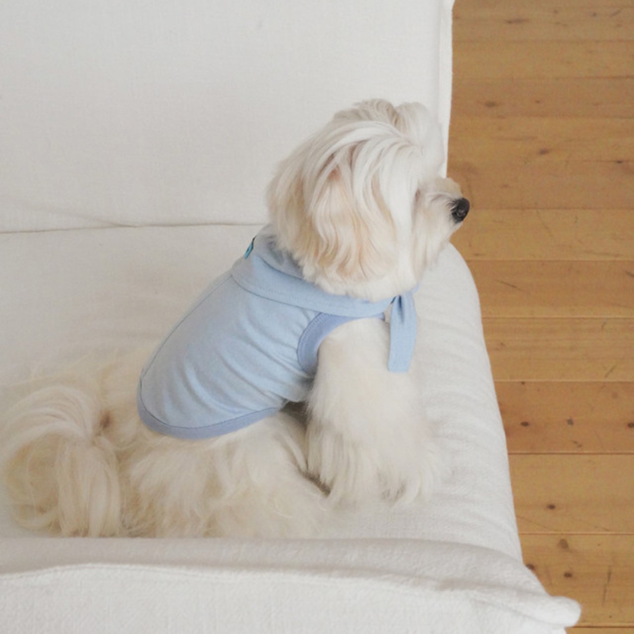 【予約】[ togethering ] Soft Cooling Sleeveless｜Sky Blue - 9