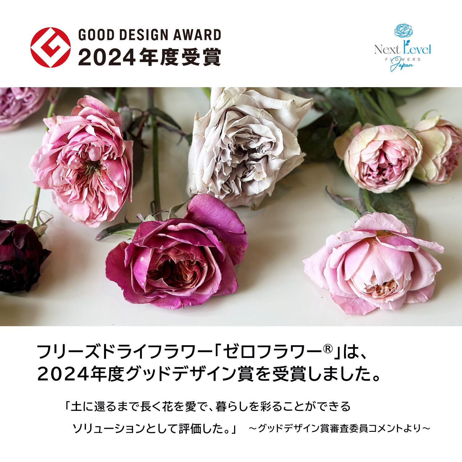 植物標本「花いちりん」S ゼロフラワーフリーズドライフラワー