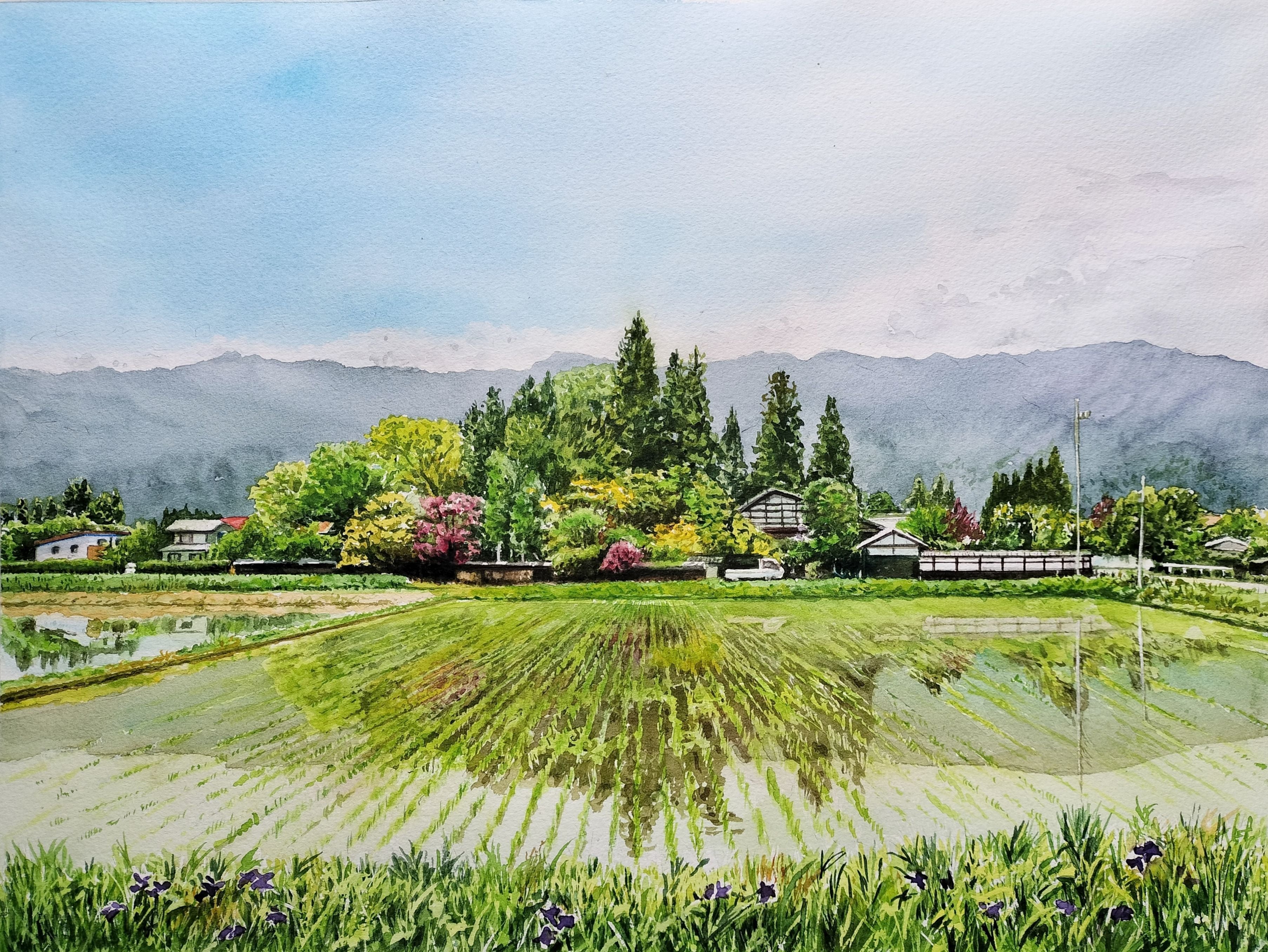 水彩画 風景画 画題「川色に魅せられて.」 | Pay ID