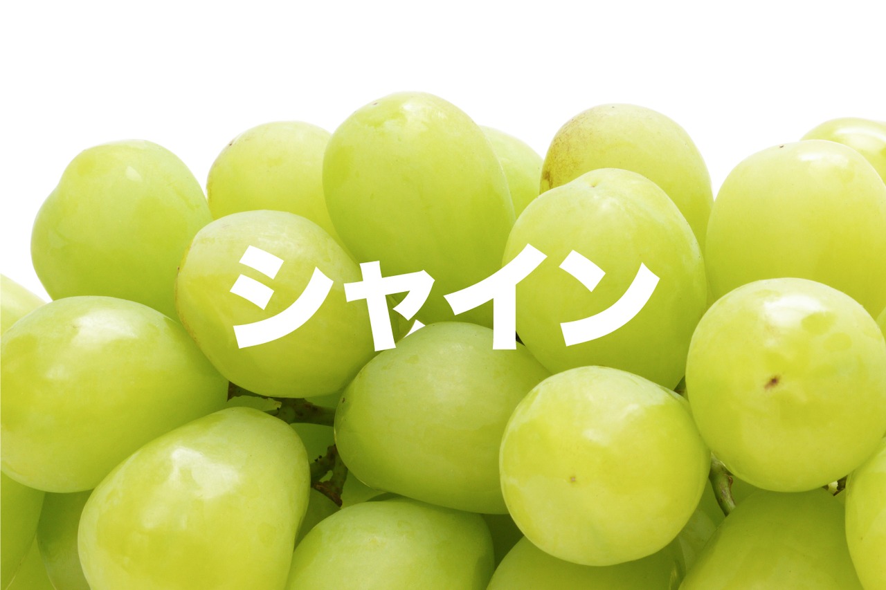 【緑系】シャインマスカット【約3kg(4〜8房)9月上旬〜下旬】