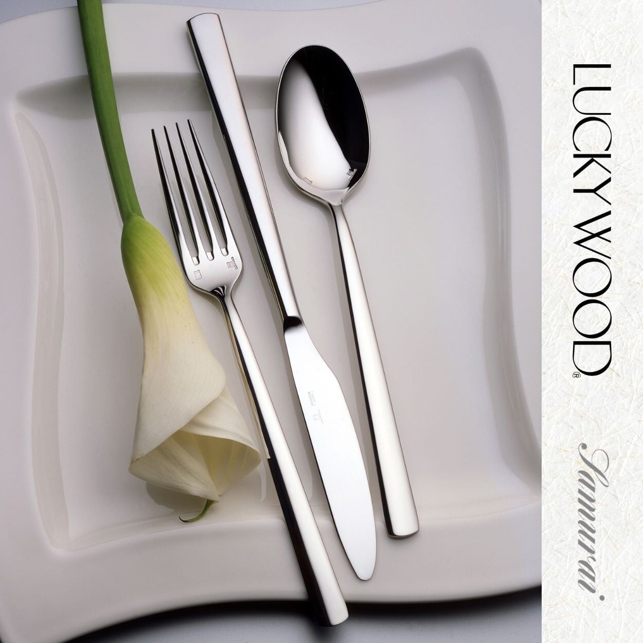 【未使用品】Lucky wood カトラリー 20本 スプーン フォーク ナイフ 未使用品】Lucky wood カトラリー 20本 スプーン フォーク