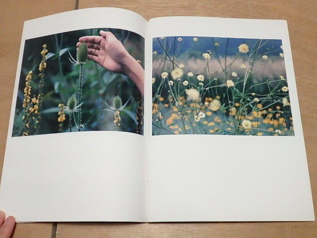 写真分離派宣言 / 鈴木理策・鷹野隆大・松江泰治・清水穣・倉石信乃