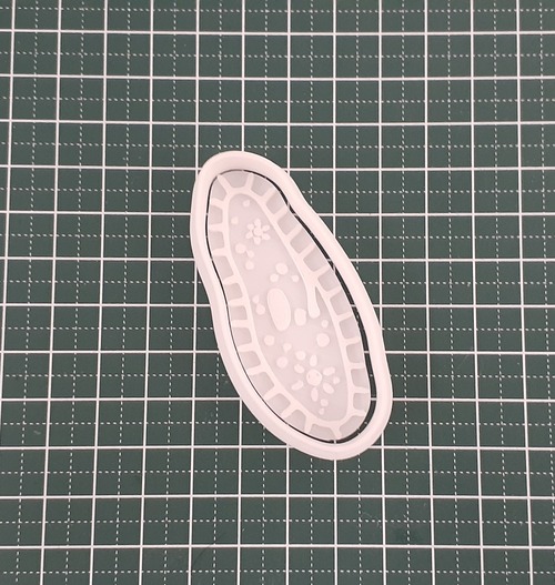 クッキー型 ゾウリムシ