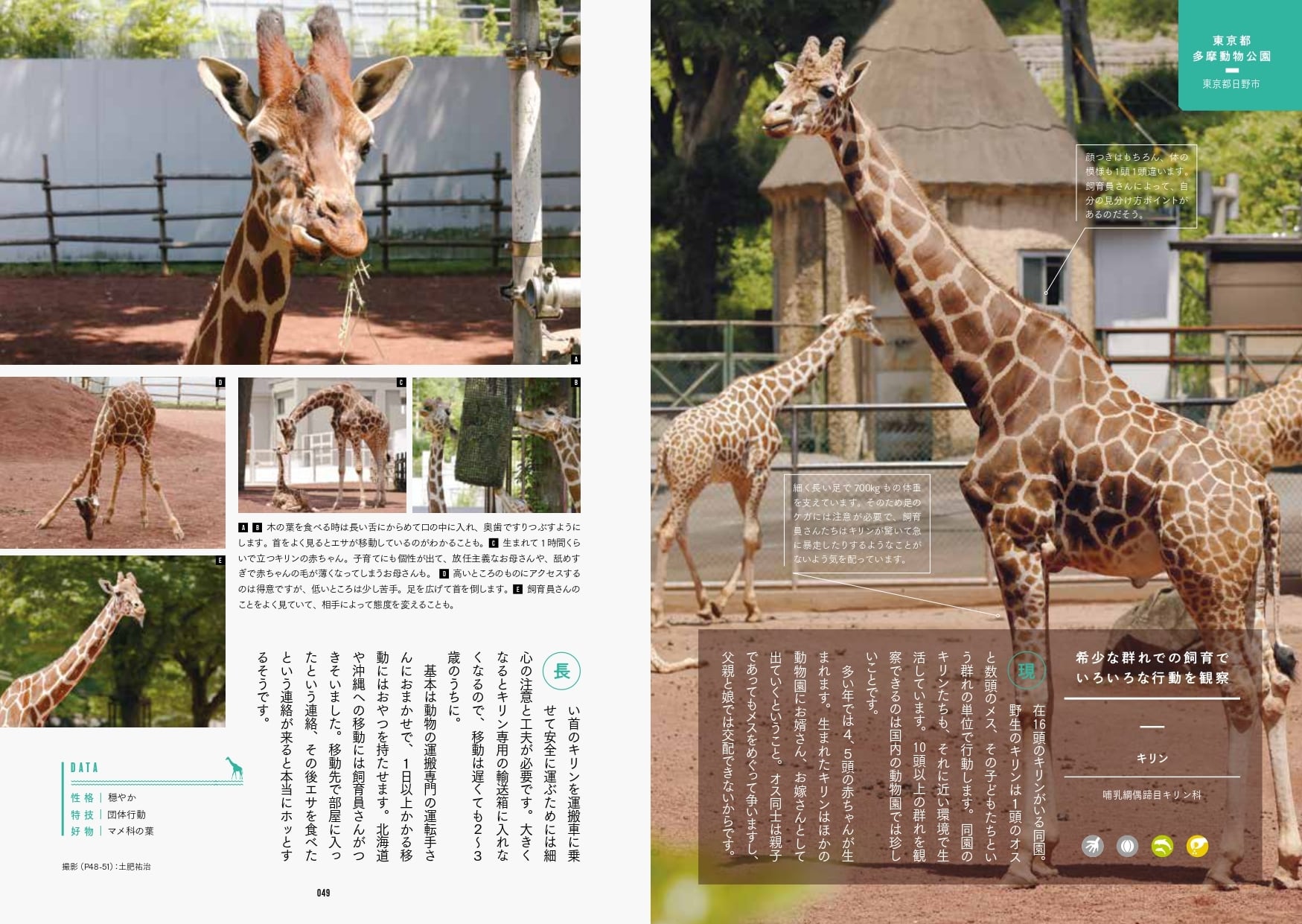 動物園めぐり シーズン2 | GB e-shop