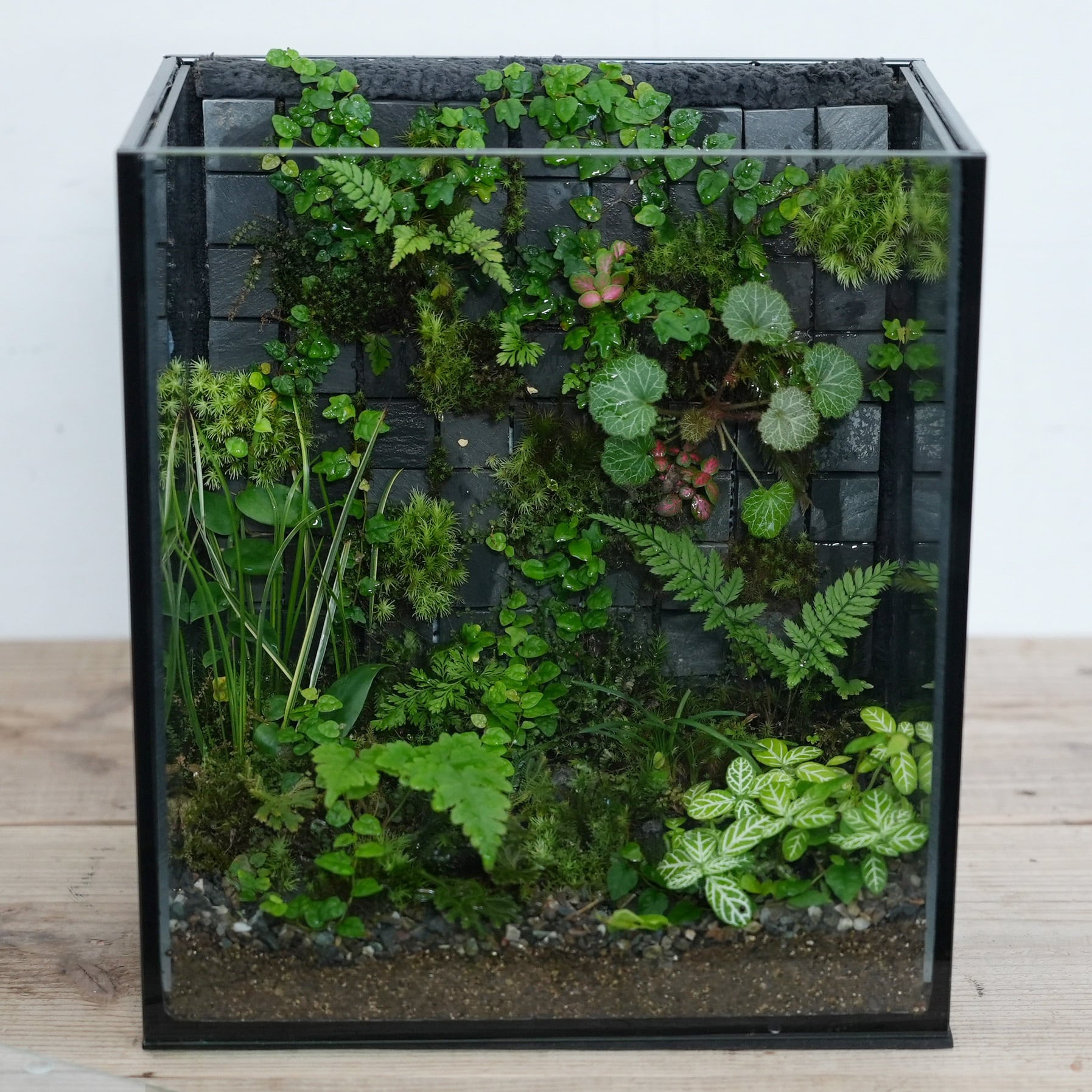 d90b2043daa0459e5d6c2754d4c3ed