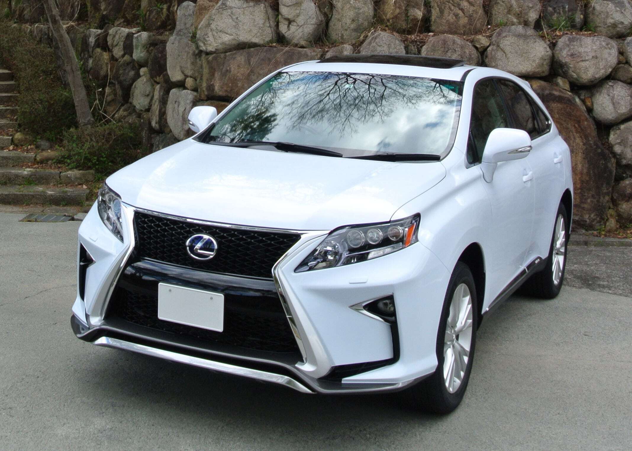 グリルキット(Fスポーツタイプ)(LEXUS RX AX10前期型用 グリルキット(Fスポーツタイプ)(LEXUS RX AX10前期型用