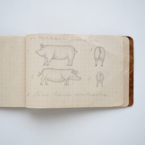 1922 Finnish Farm Diary