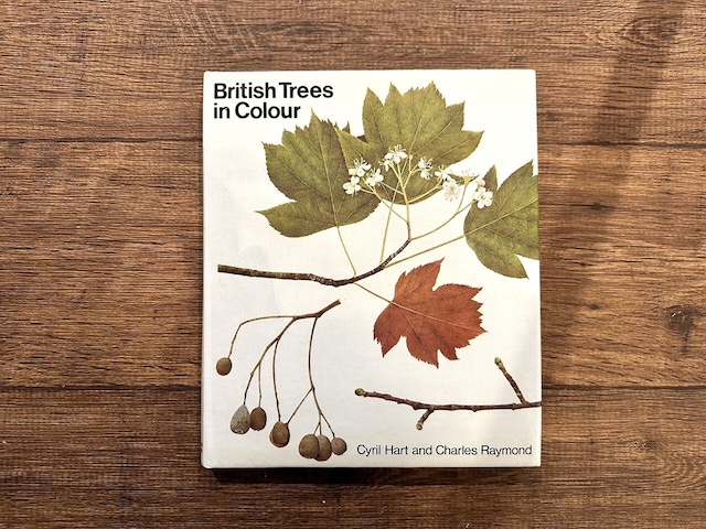 【VW146】British Trees in Colour /visual book