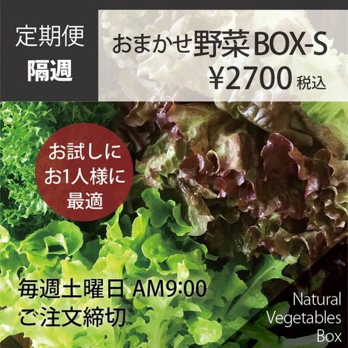 【隔週】おまかせ野菜BOX - Sサイズ