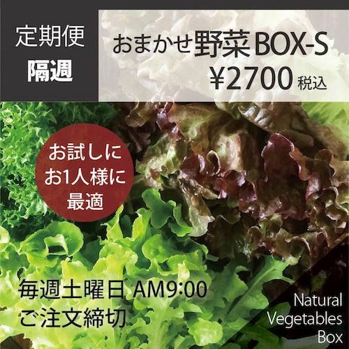 【隔週】おまかせ野菜BOX - Sサイズ