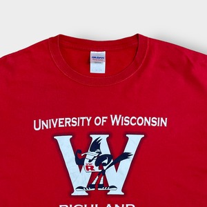 【GILDAN】カレッジ ウィスコンシン大学 Tシャツ カレッジロゴ プリント UNIVERSITY OF WISCONSIN 赤 LARGE 半袖 夏物 US古着