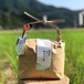 新米 令和5年(2023年) 【特別栽培米コシヒカリ】(3kg)