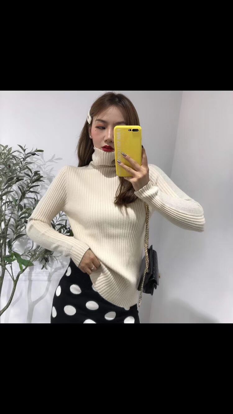 タートルネックリブニット