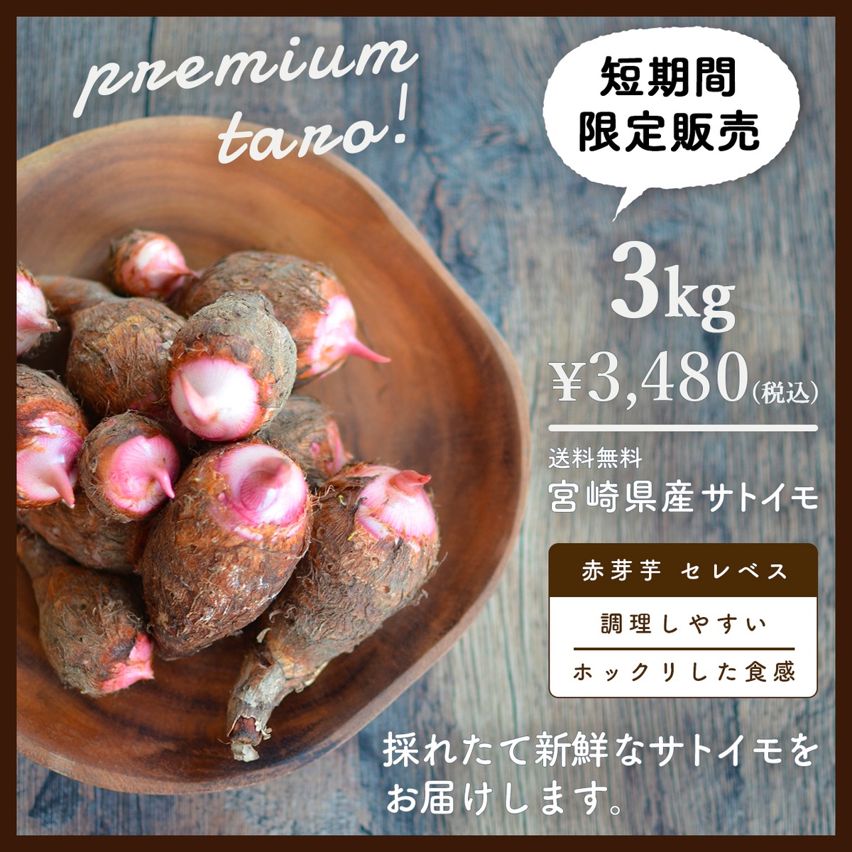 d911ed70877cfc8f626f1c740ae65a 