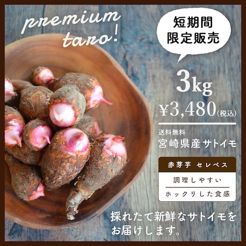 【送料無料&増量キャンペーン】里芋　赤芽芋 セレベス 3kg　宮崎県産　さといも　サトイモ