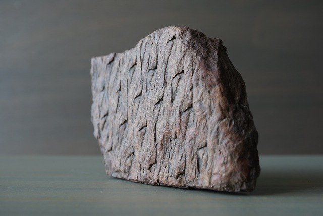 鱗木(ヒカゲノカズラ類)化石 Lepidodendron sp. 760