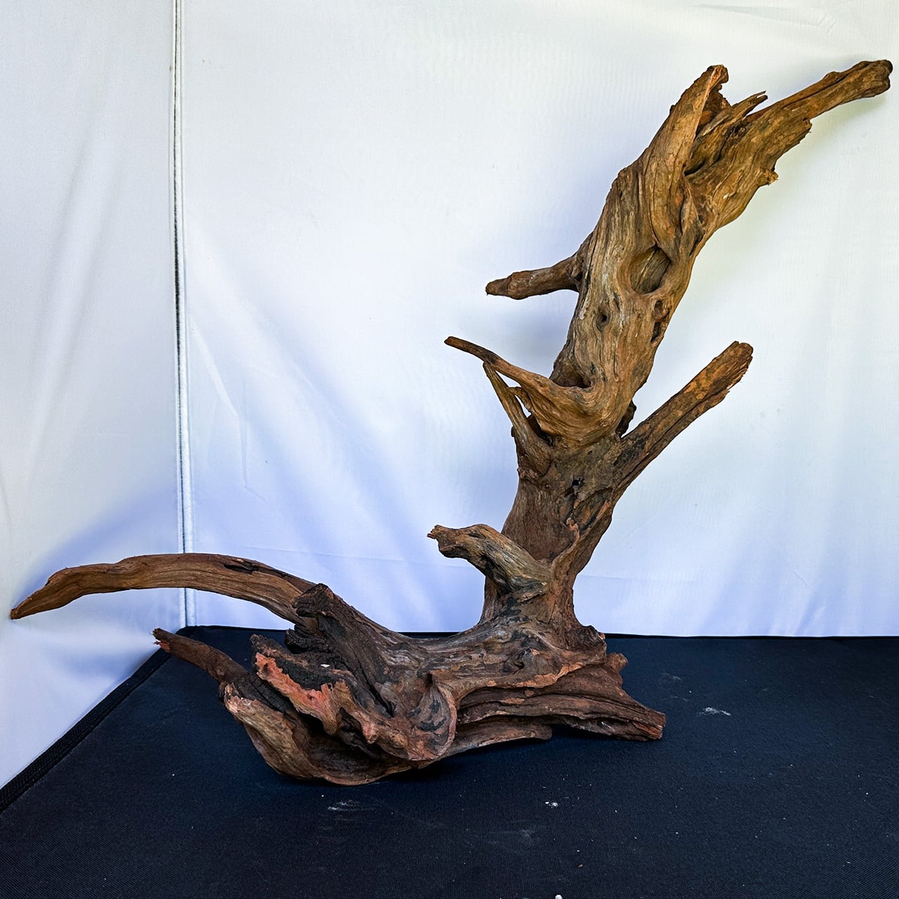 ADA ホーンウッド　HORN WOOD M　未使用品　15本セット　箱売り Yahoo!オークション -「ada ホーンウッド」の落札相場・落札価格