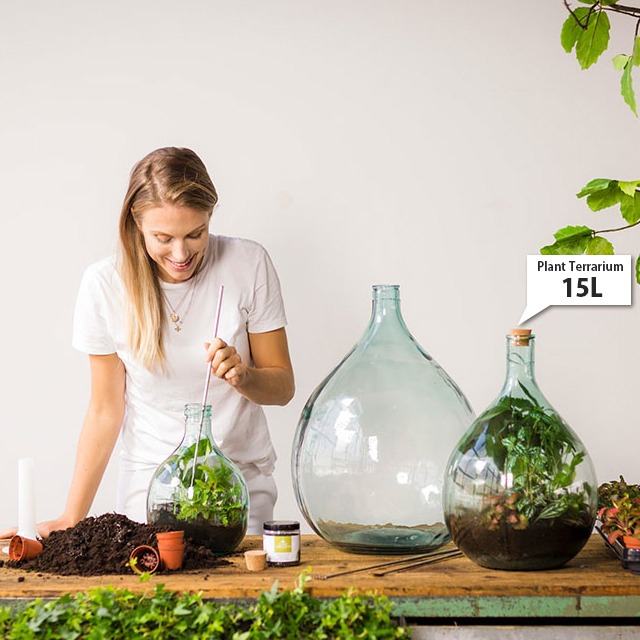 再入荷 数量限定 Terrarium Bottle Planter With Tools 15l プランツテラリウムボトル 15リットルボトル Noonflos Flower Shop Floral Design