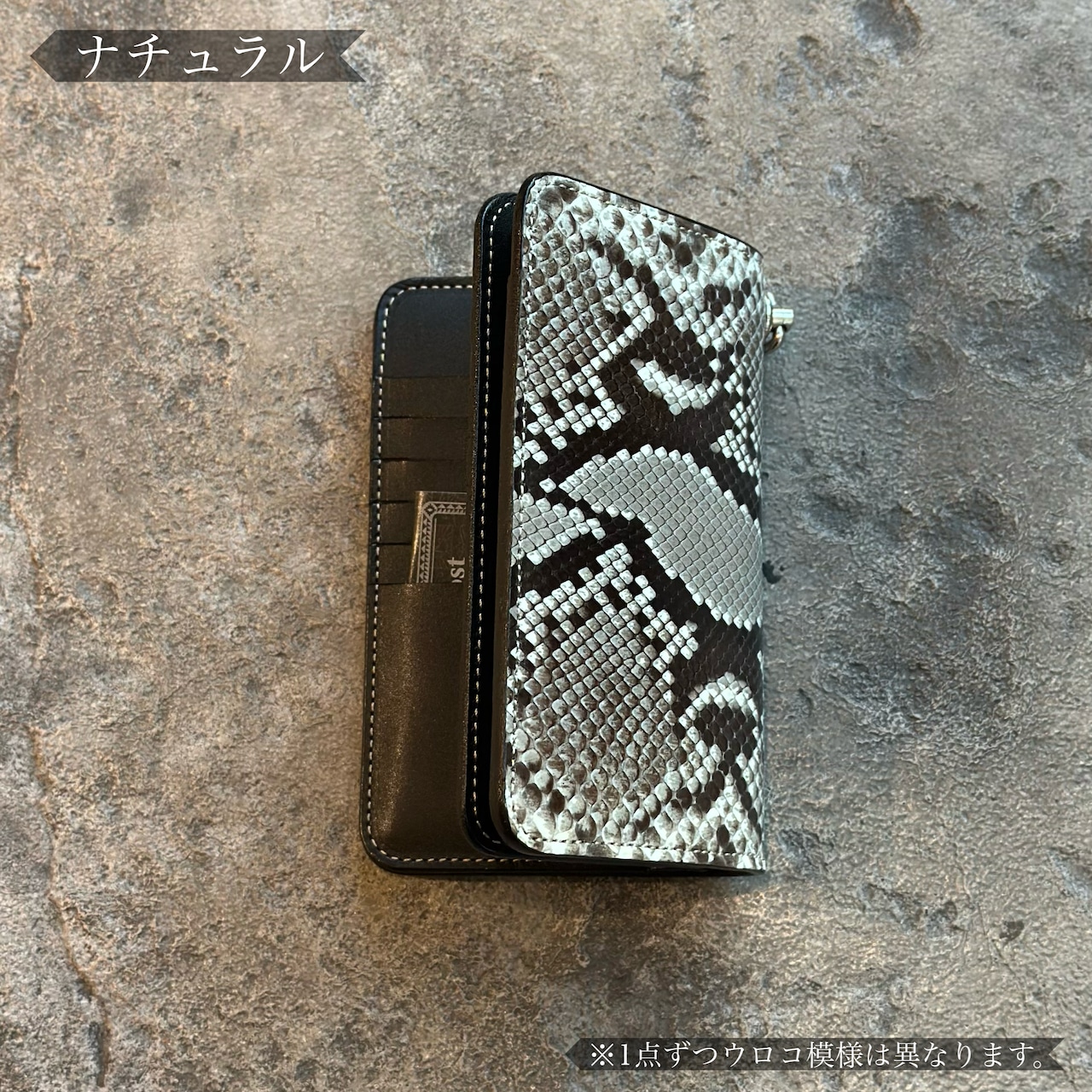 ロングビルフォールド エレノア パイソン