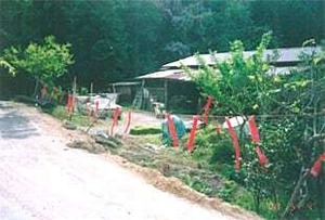 撃退シカ激臭シート10個入 15m用 シカ対策 激辛臭が約２倍の強力タイプ 効果は驚きの１年間！…