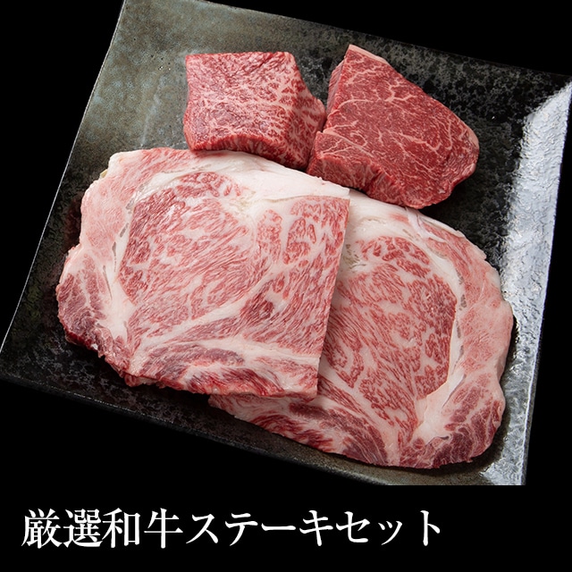 送料無料  はなふさ厳選黒毛和牛 ヒレステーキ 500g（250g×2枚）