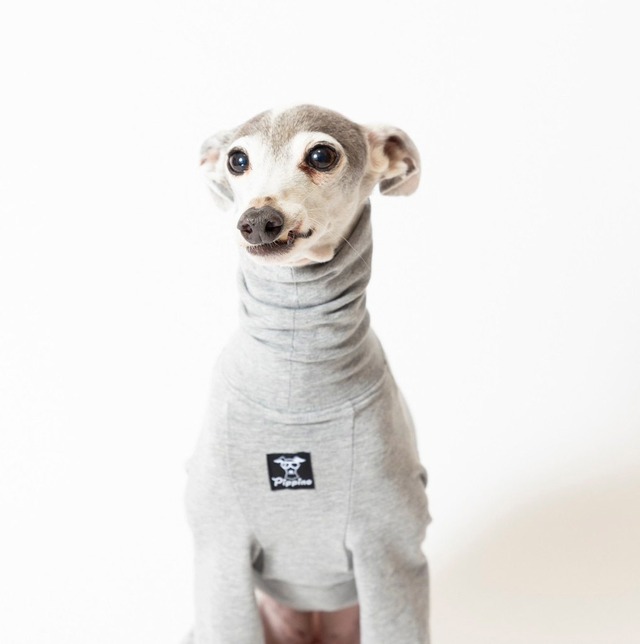 コットンロンパース2023　gray / イタグレ服