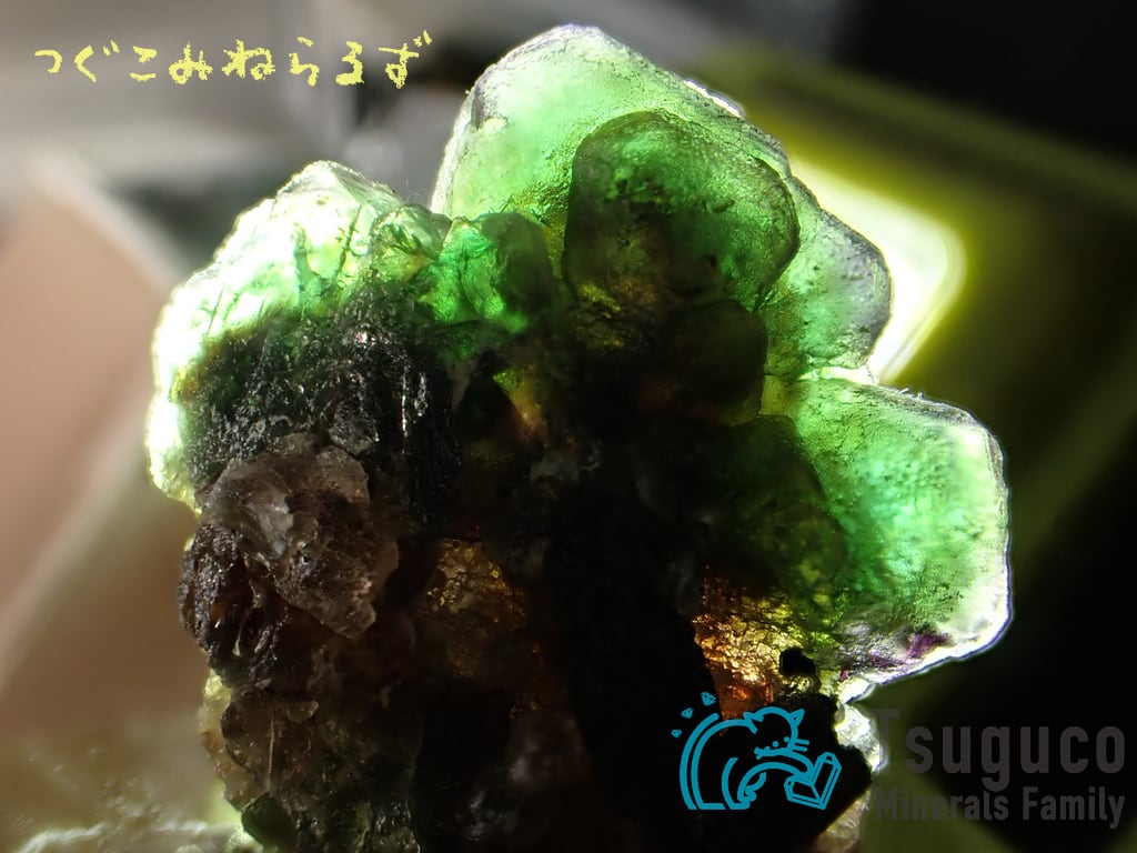 フローライト 蛍石 Fluorite ナミビア TM-0041