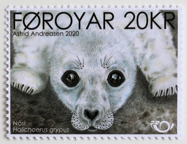 四季 / フェロー諸島 2024