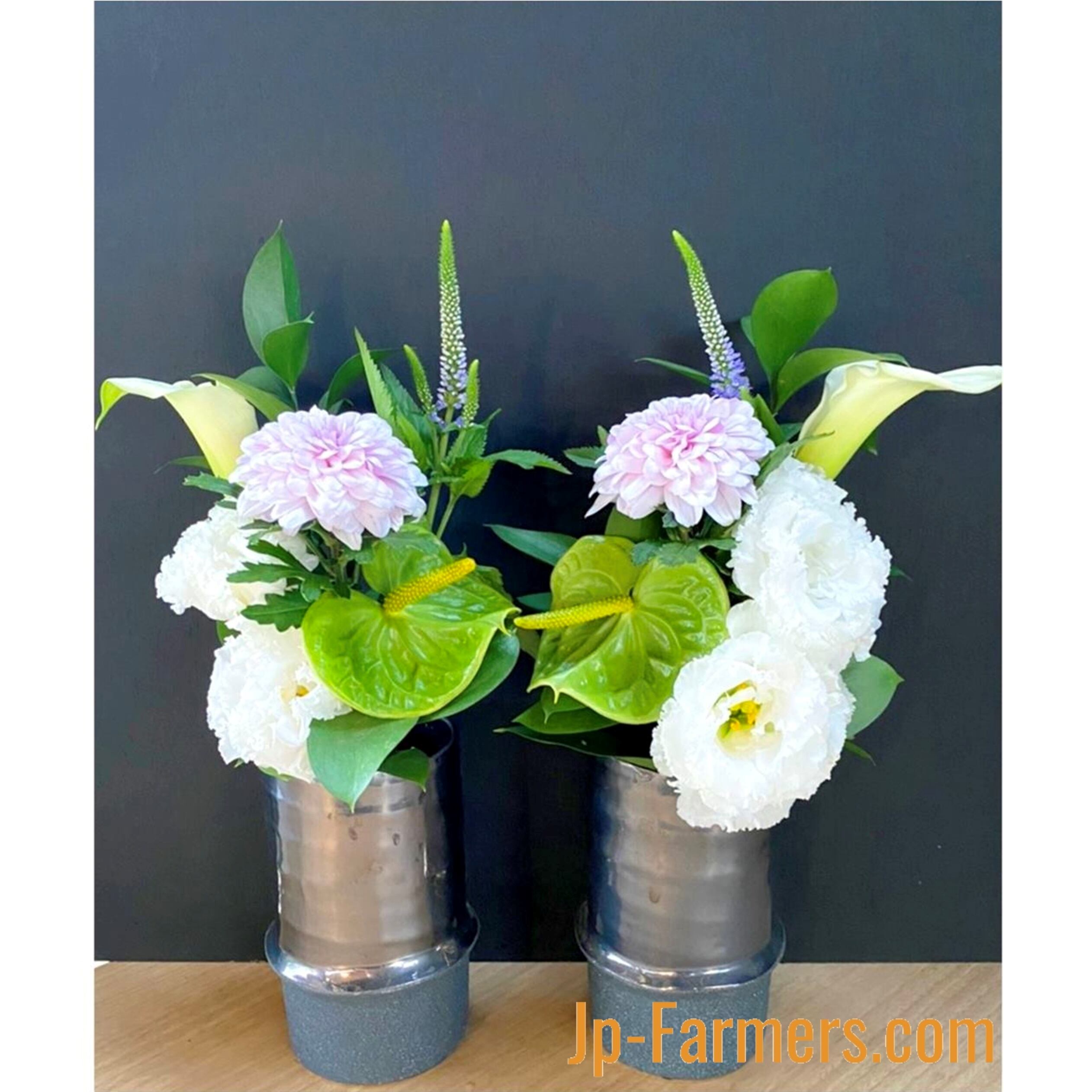 洋風仏花 下草なし のご提案 Jp Farmers Com