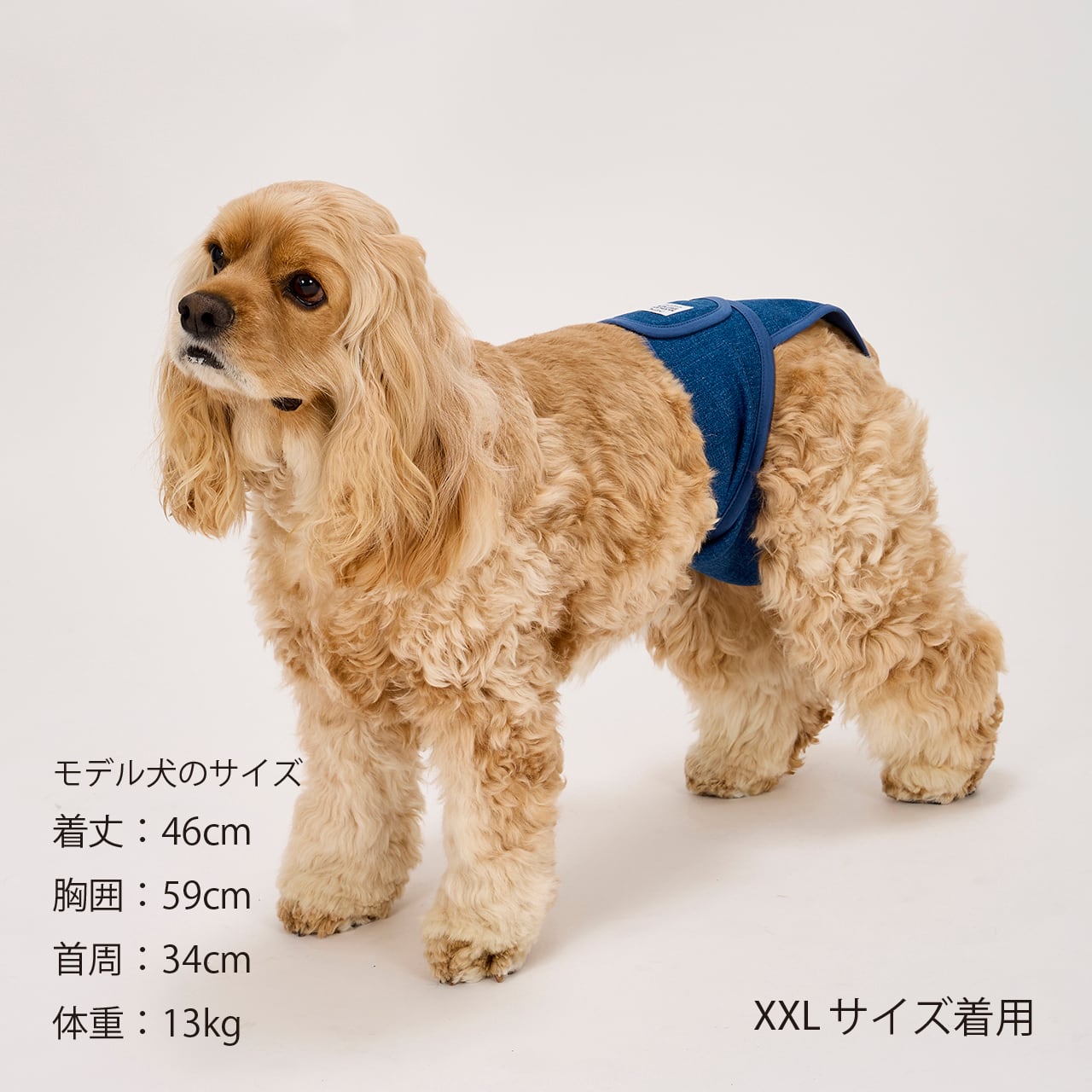 MANNER PANTS（S.M.L）マナーパンツ | MANDARINE BROTHERS マンダリン