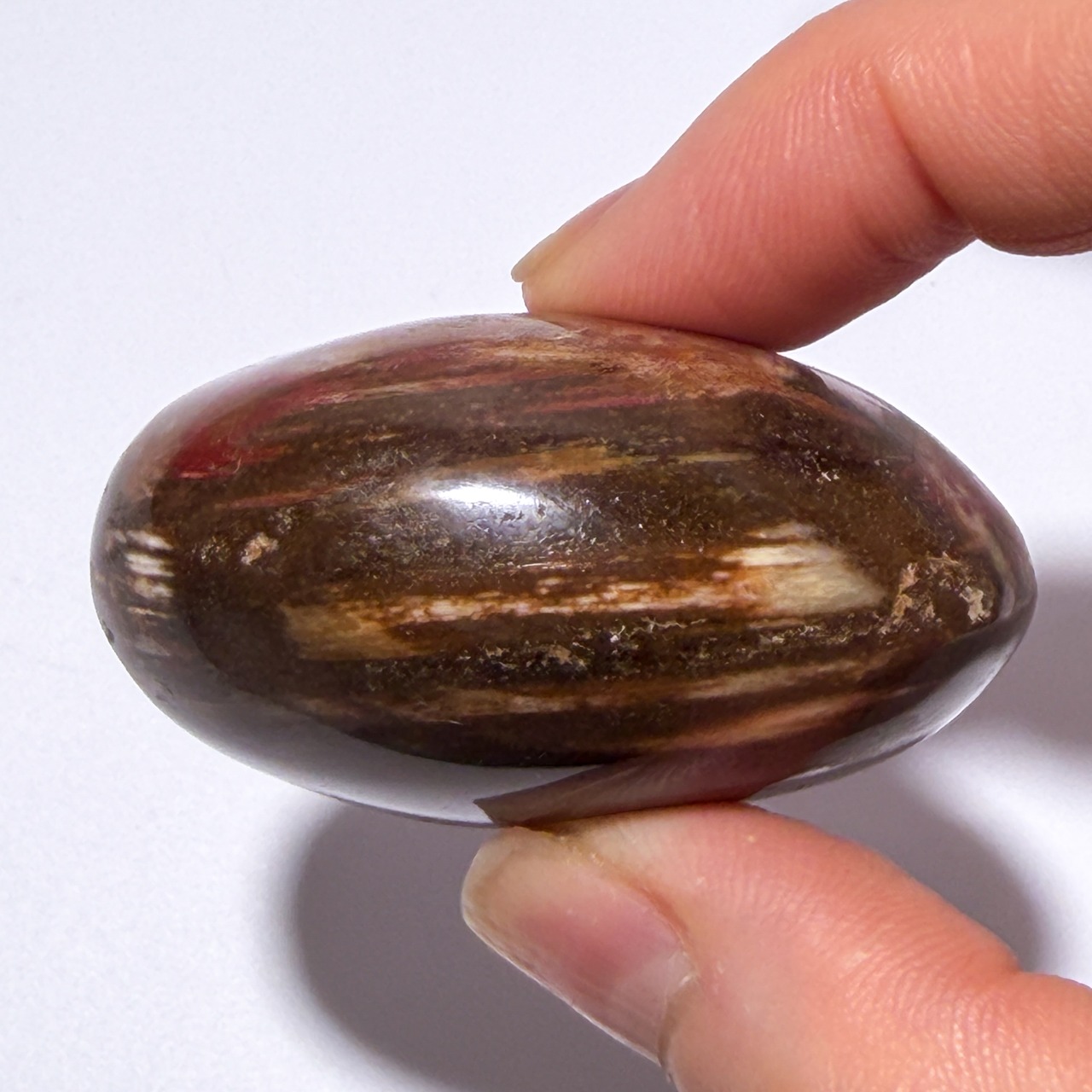 ペトリファイドウッド02 パーム ＊ Petrified Wood ＊ 天然石