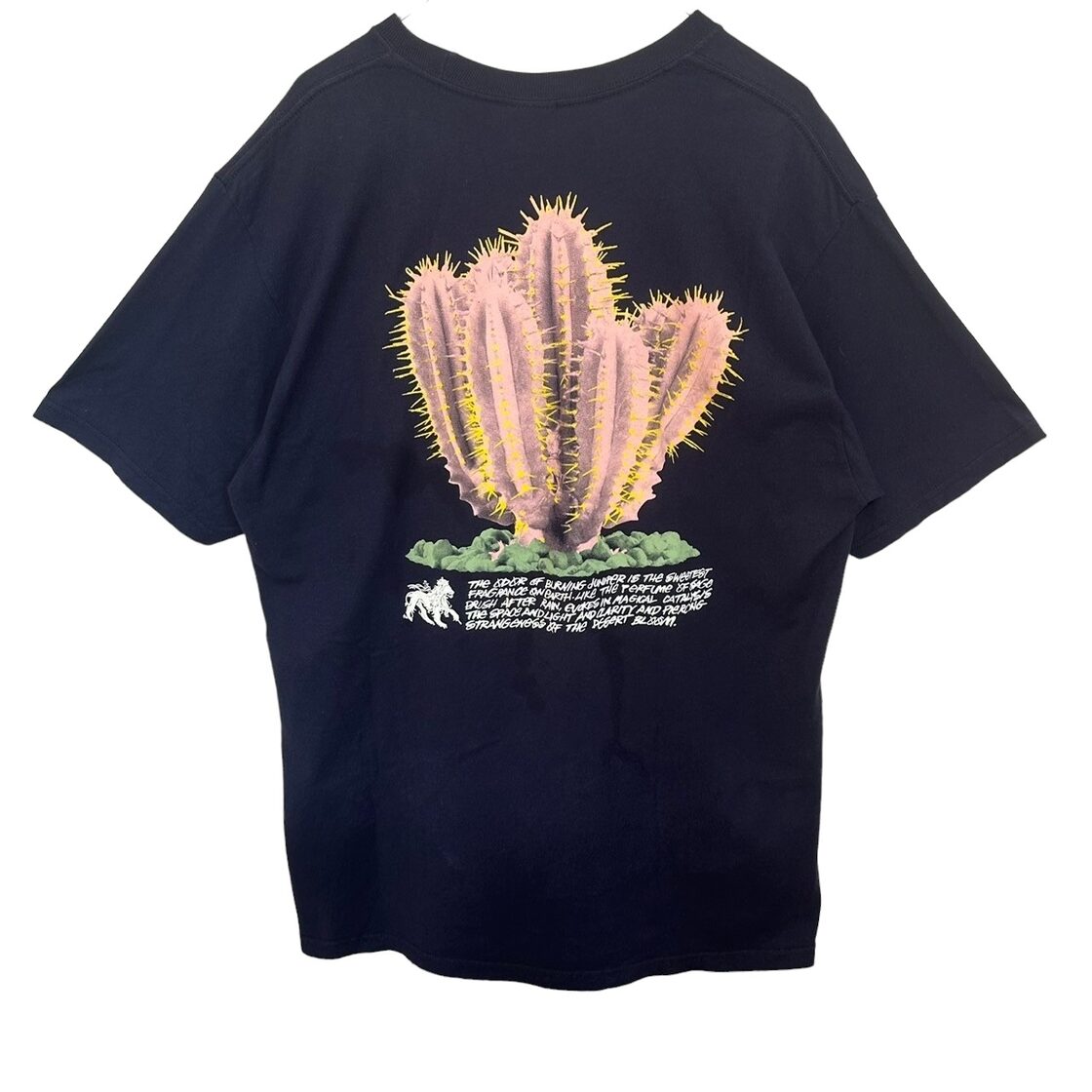 stussy ステューシー Tシャツ L バックロゴ プリントロゴ サボテン 