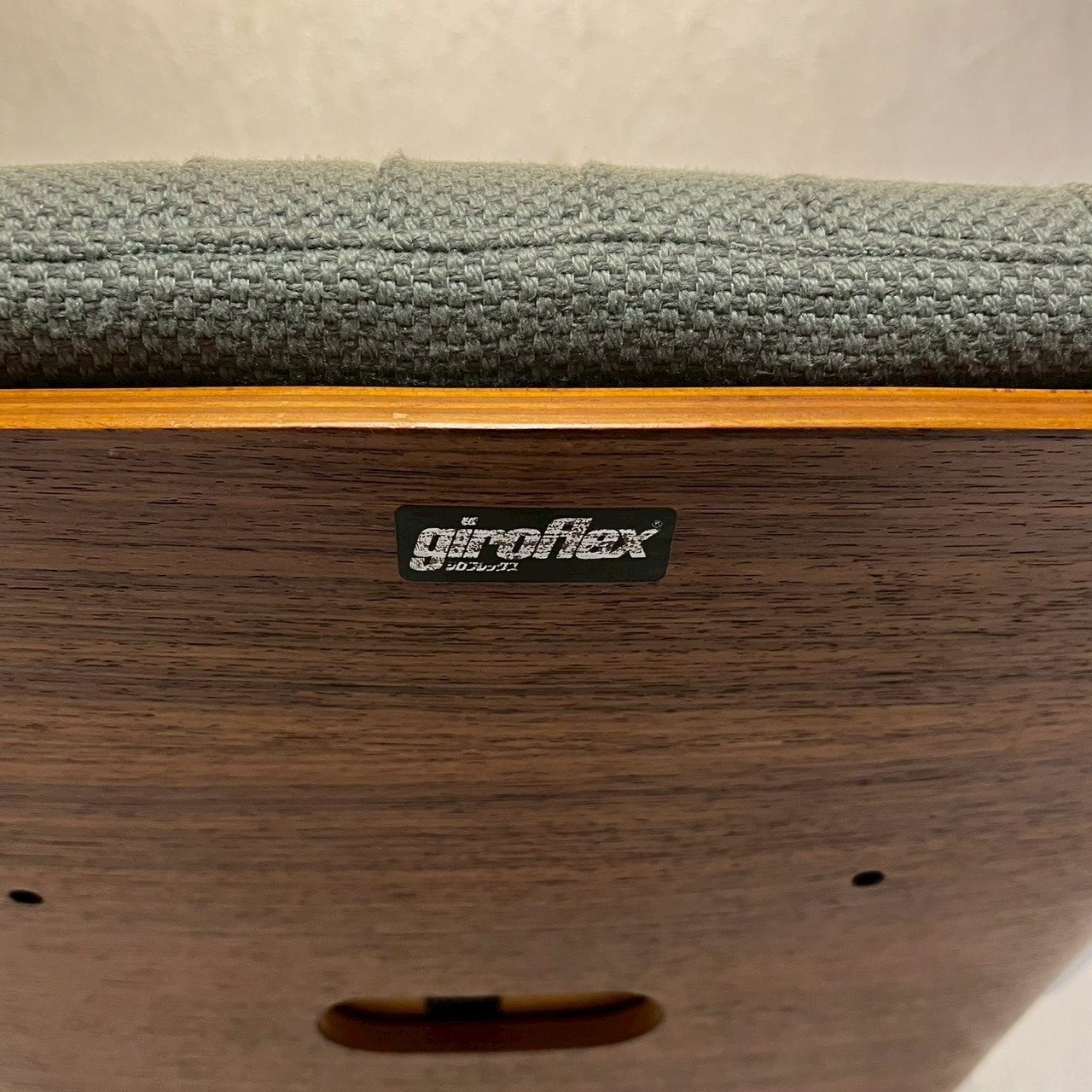 giroflex ジロフレックス BRASA ブラサ ダイニングチェア カンティレバーチェア アームチェア ファブリック モダン ミッドセンチュリー ホテルライク