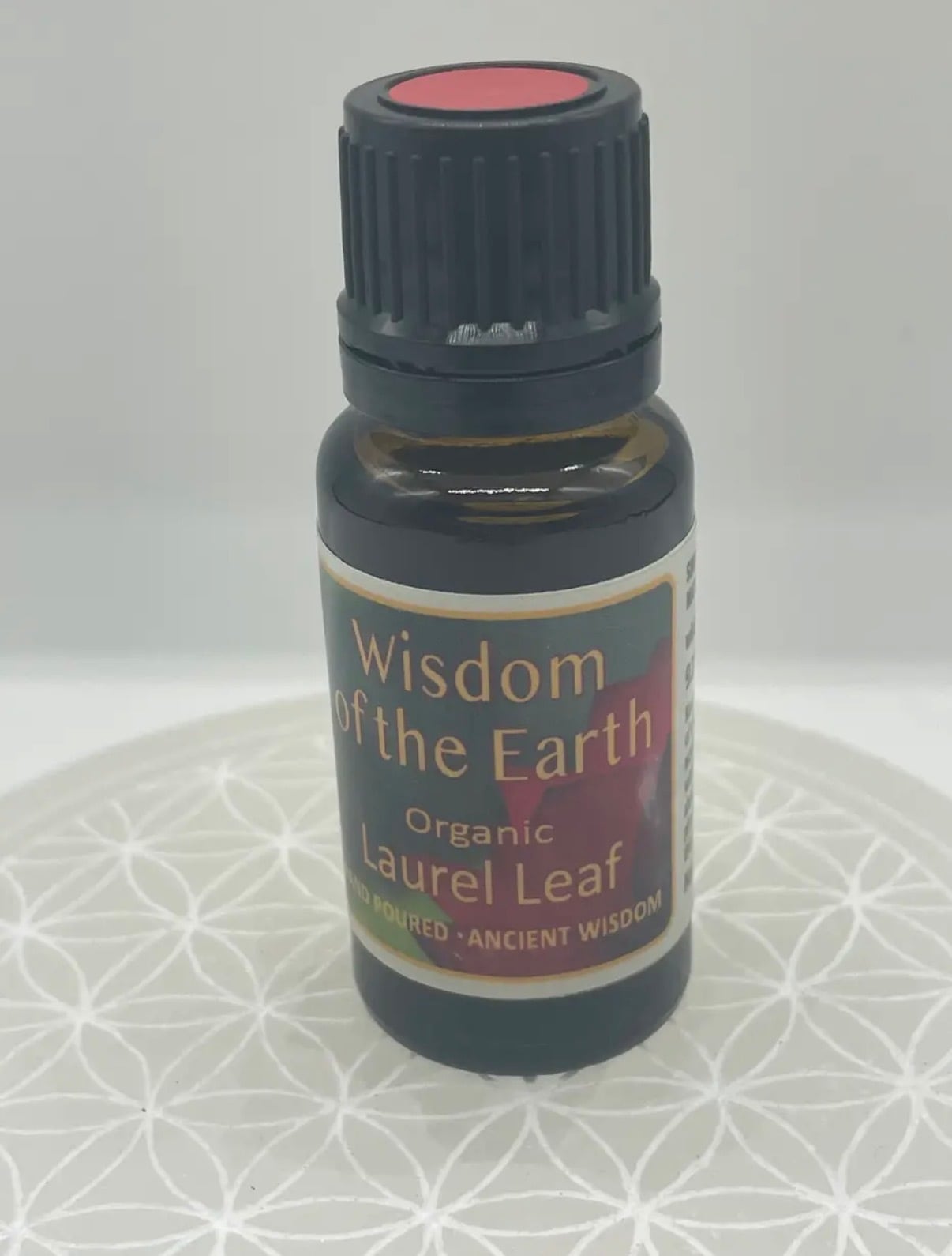 ＆Earth ～植物と暮らす～