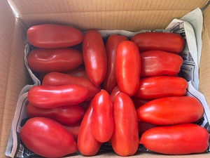 サンマルツァーノタイプ(イタリアトマト) 2kg