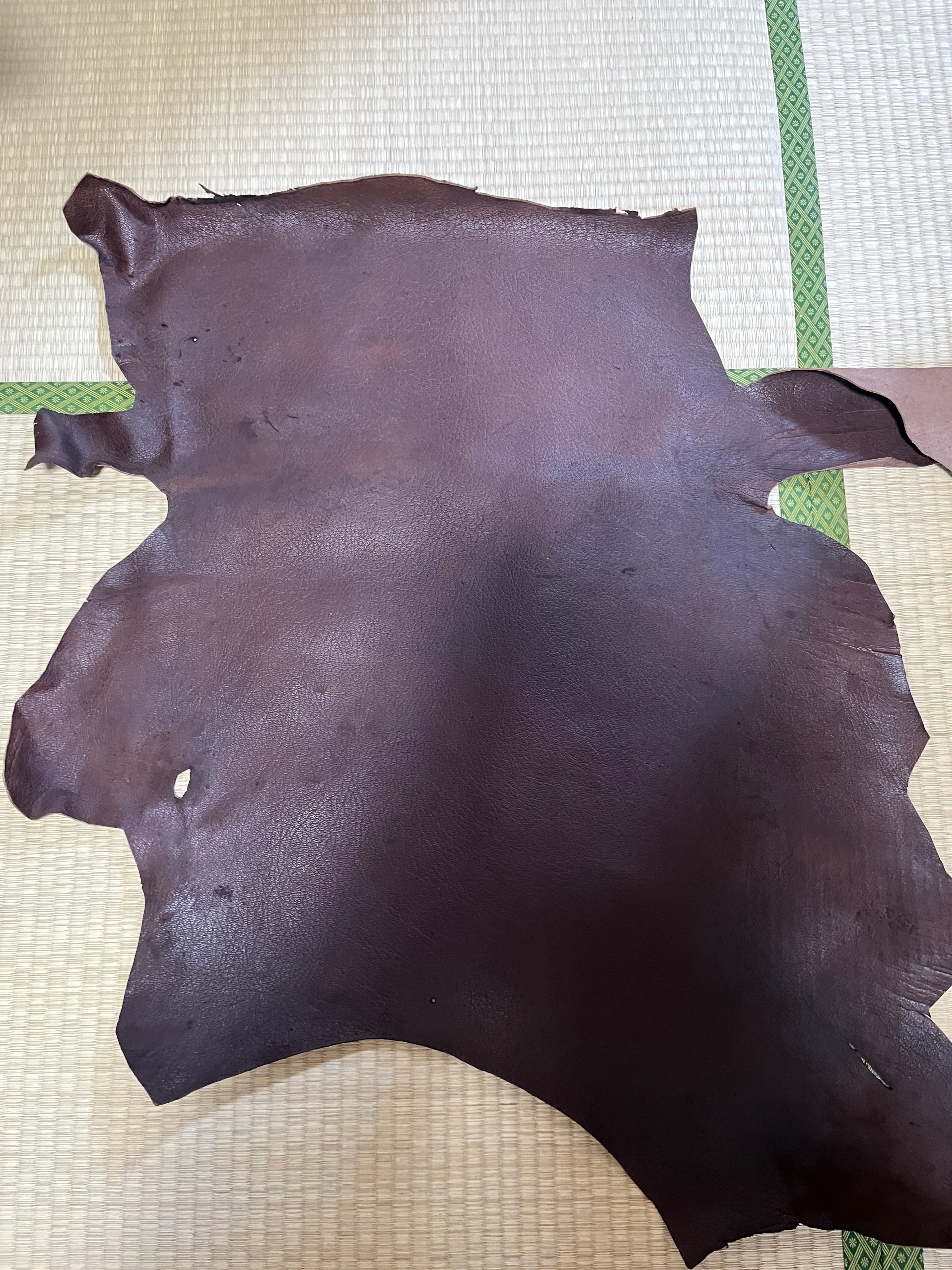 A5サイズ 熊革(ツキノワグマ)ブラウンカラー カットレザー | Dittago