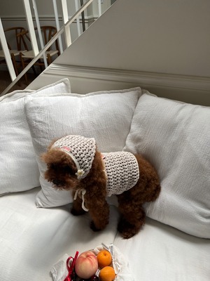 予約【pecoramou select】コテージネットニットビスチェ