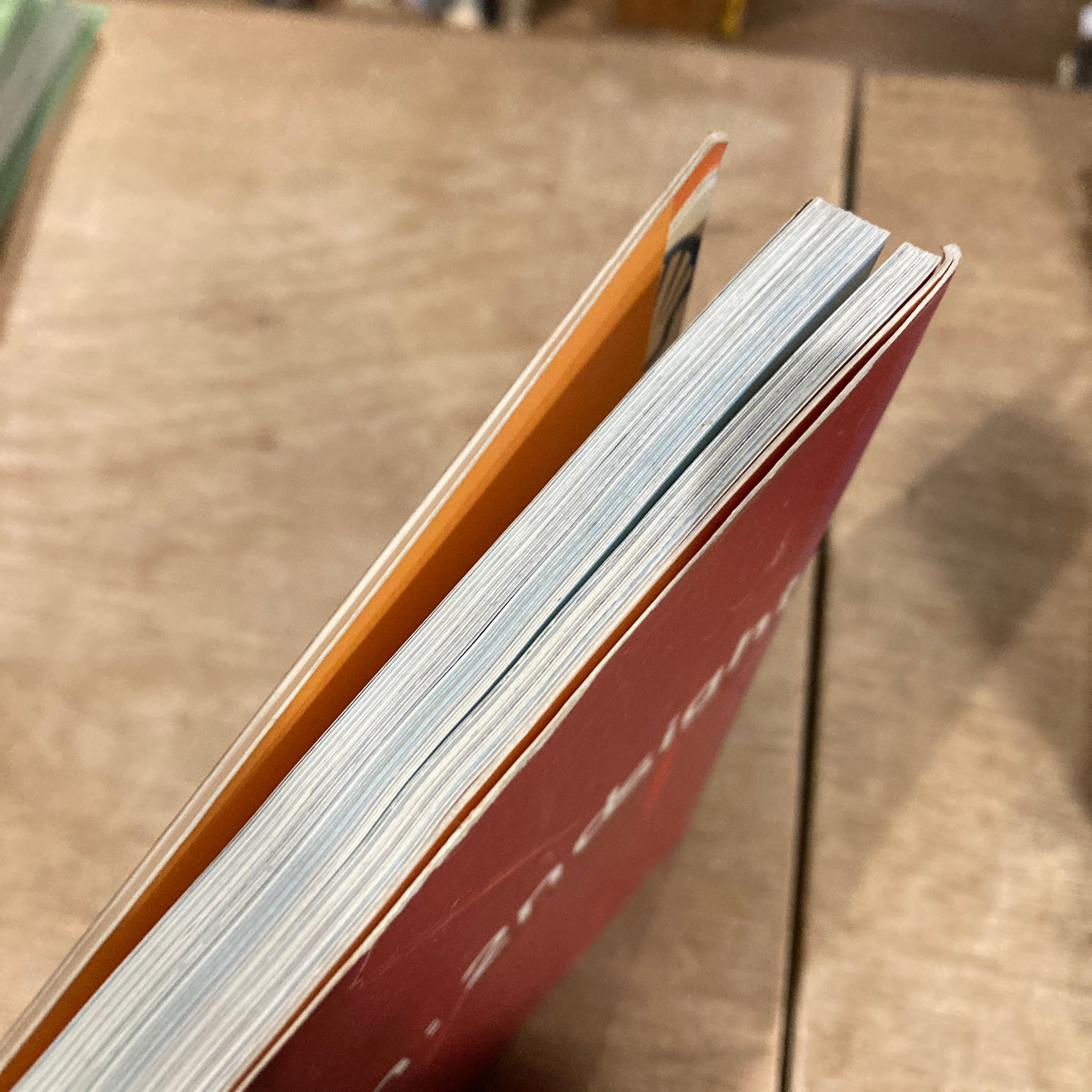 David Carson : 2ndsight grafik design after the end of print