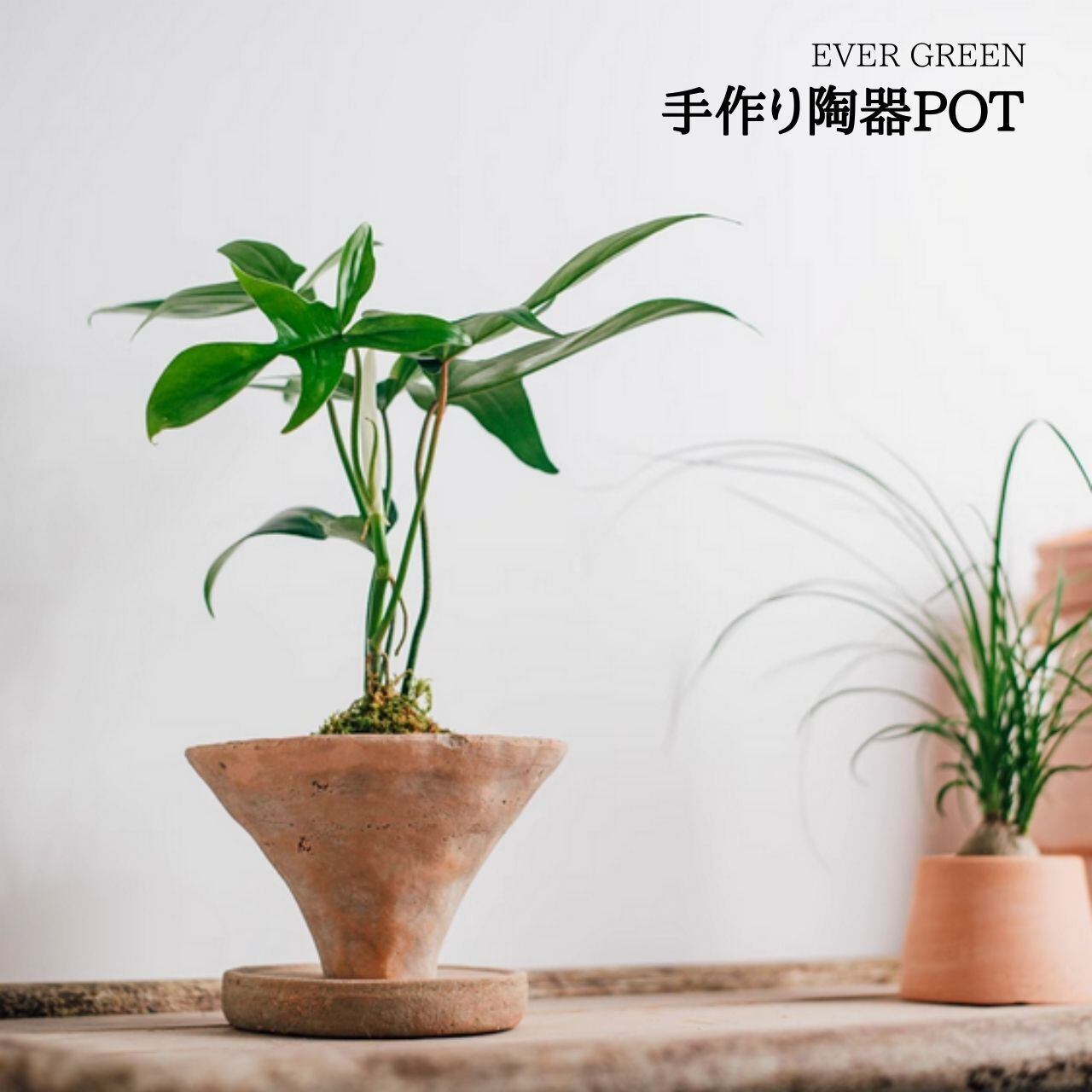 手作り陶器POT A085 | EVERGREEN エバーグリーン 植木鉢 花瓶