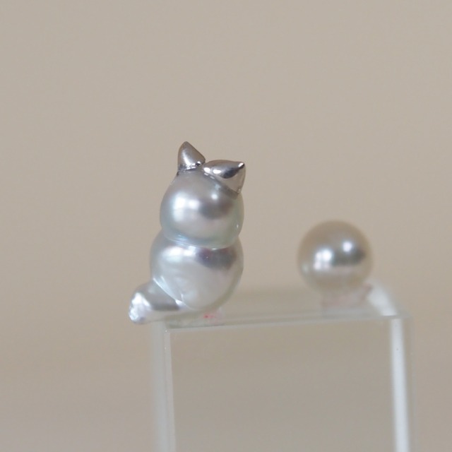 ねこ真珠　次回の里親募集は5月ごろです