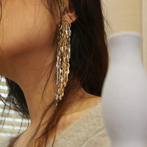 Metal tassel earrings <ピアス>