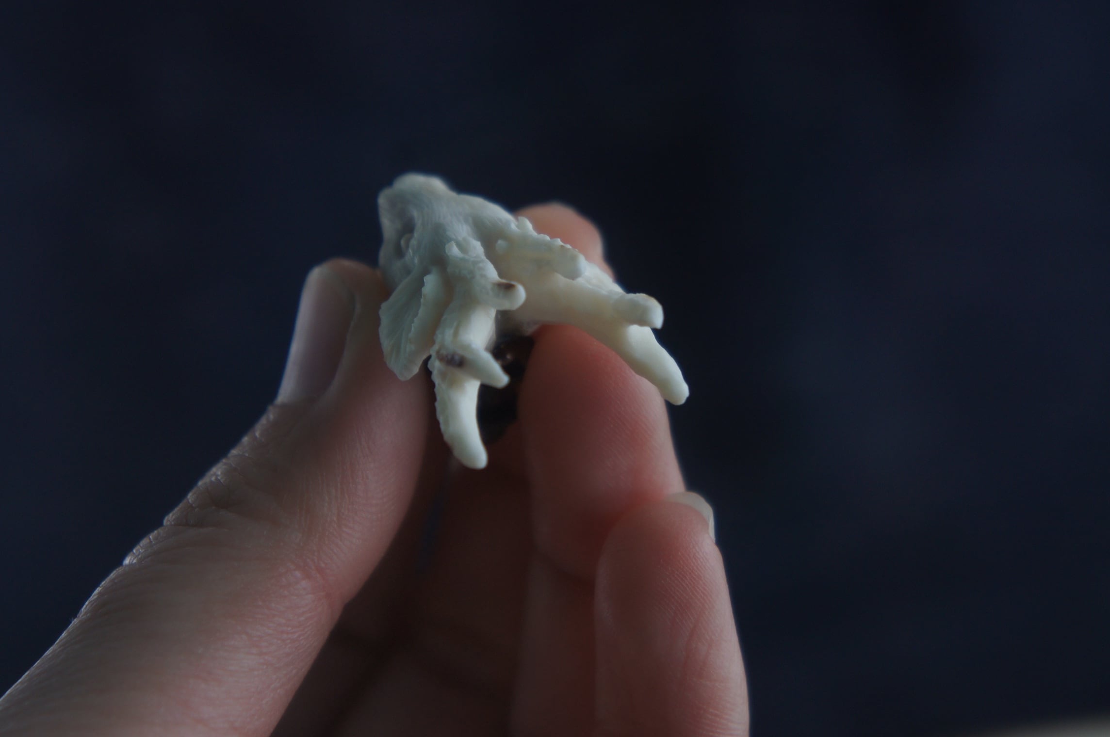 ☆匿名☆   ⭐️いちごの取りっこ⭐️    自作彫刻使用【種名　日本鹿の角】 種名 日本鹿の角】オリジナル彫刻使用 ⭐️いちごの取りっこ 匿名☆