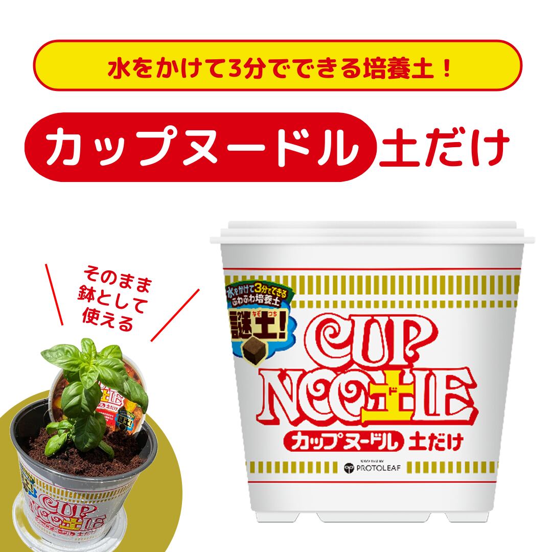 d93c4aabe2be3051552164cf289fd5