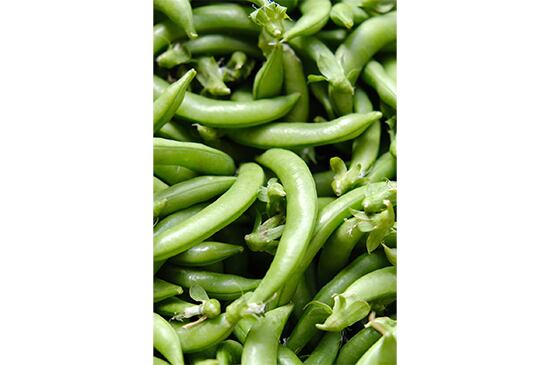 【サクサク食感】スナップエンドウ・100g(6/19発送開始)