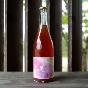 神出鬼没シリーズ：ミッケ　2023