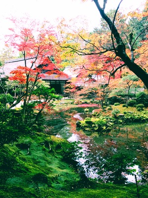 紅葉の庭園