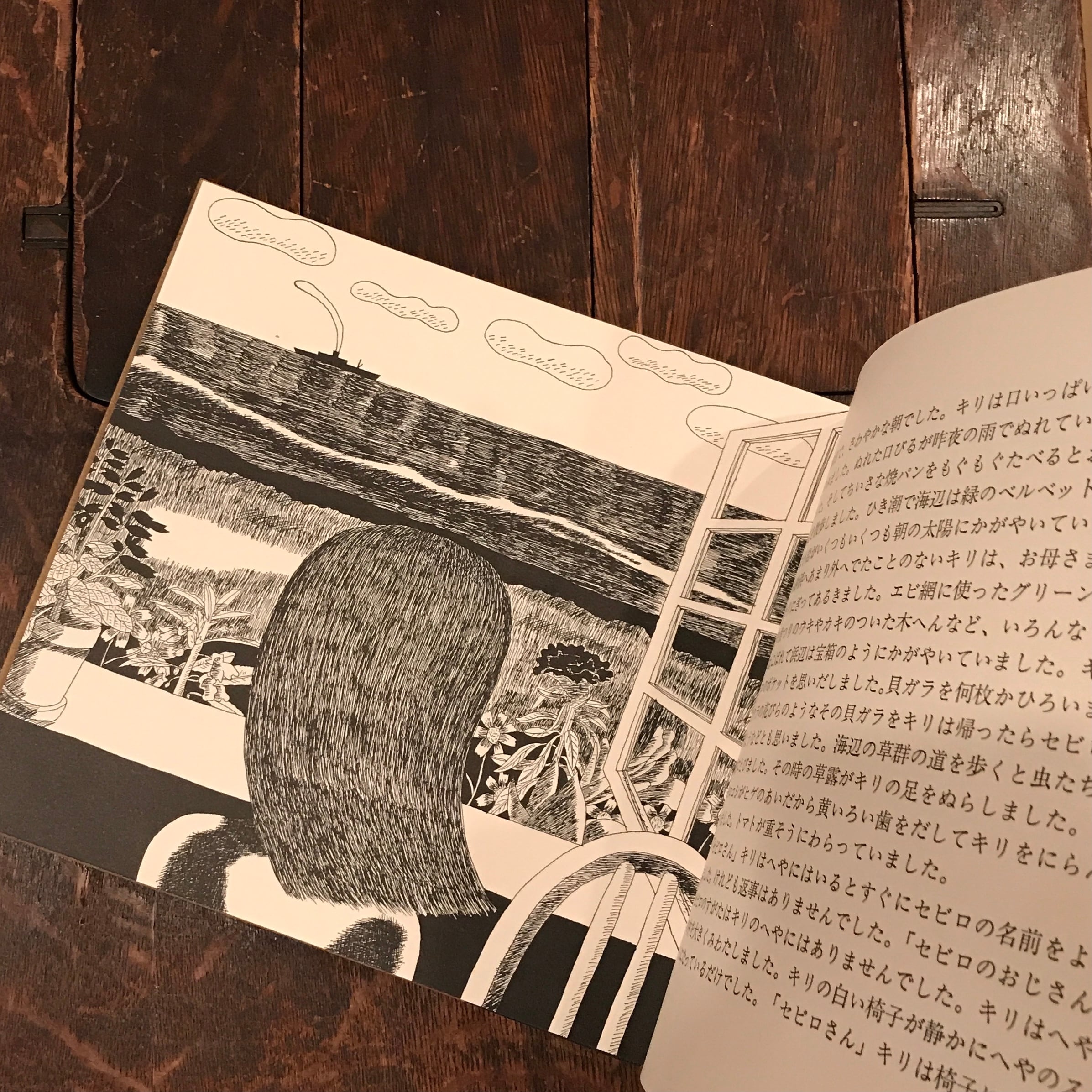 夏の終り 少女 / 渡辺昇 安西水丸 | 百年