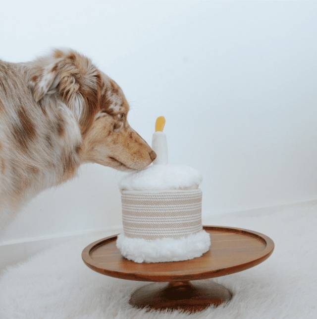 新商品！犬用おもちゃ・ノーズワークトイ【lambwolf】Birthday Cake