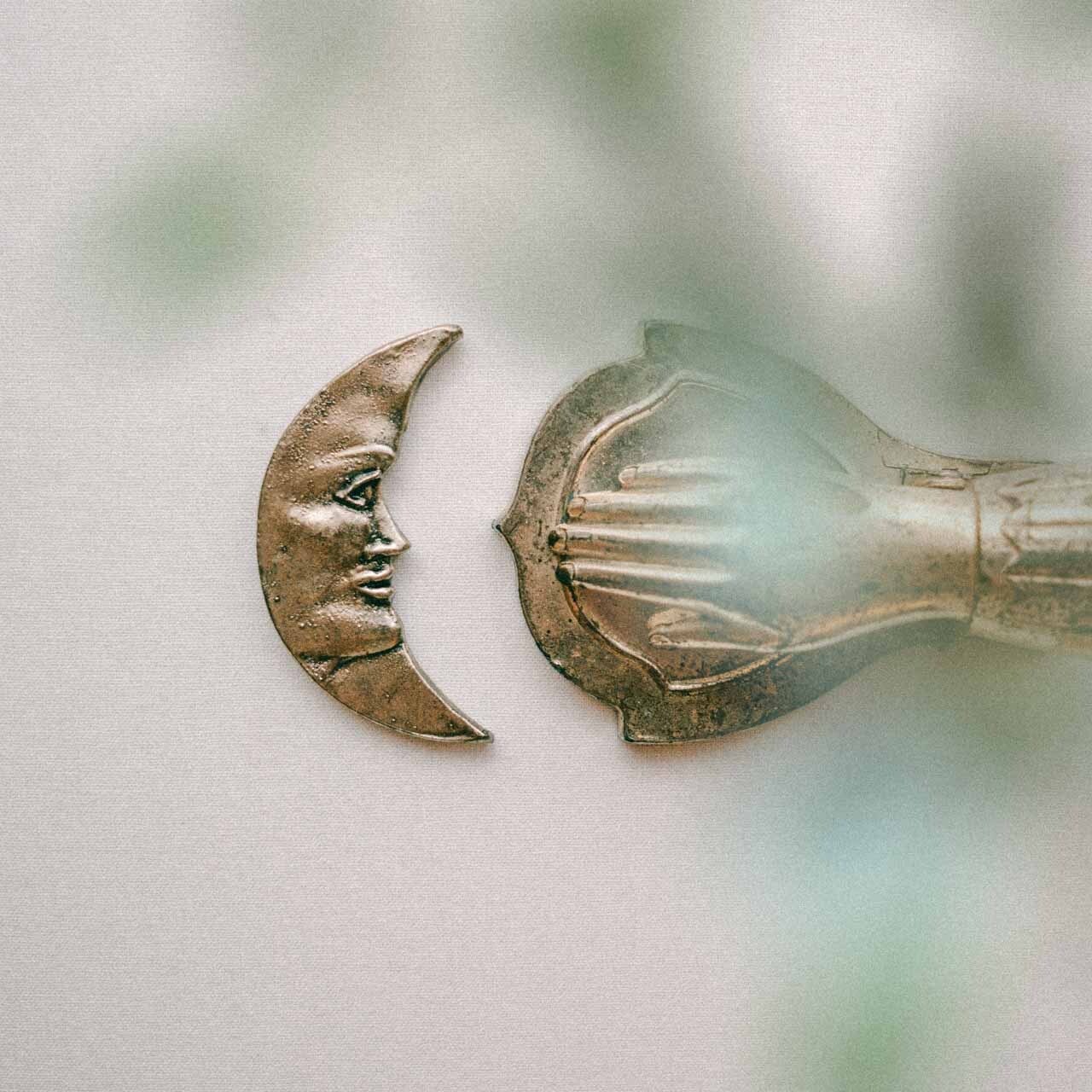 可愛いヨウムのピアスを楽しもう！ 165 ブローチシリーズカラフルな