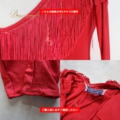 社交ダンス 衣装 DANSCOUTURE LONDON ドレス ワンピース レッド系 フリンジ 長袖 上品 高級感 綺麗 発表会 パーティー 赤 無地 伸縮 ストレッチ ロング ダンス衣装 イベント ステージ かわいい